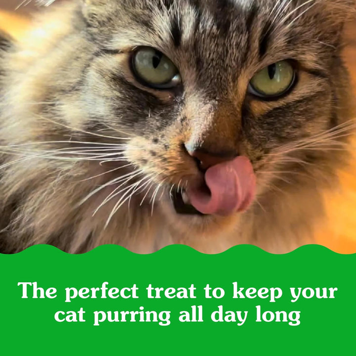Cat licking its lips with a green text overlay on a blurred background. Greenies Feline Smartbites Healthy Indoor Cat Treats, Tuna Flavor