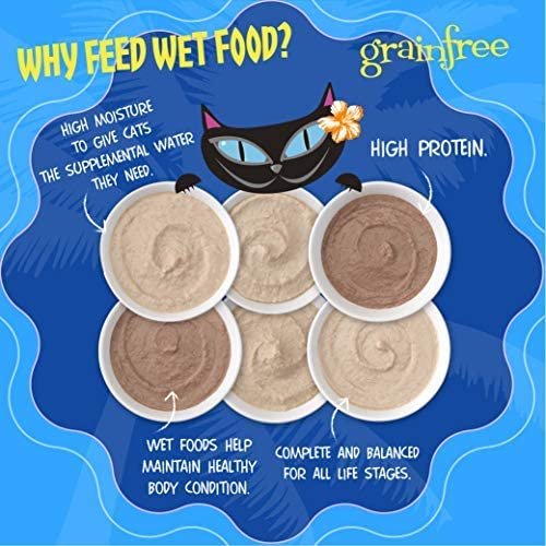 Tiki Cat Velvet Mousse Grain Free Wet Food with a Silky Smooth Texture