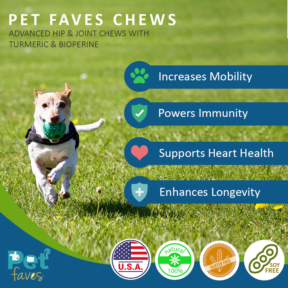 Advanced Hip and Joint Chews for Dogs with organic Turmeric & Bioperine®