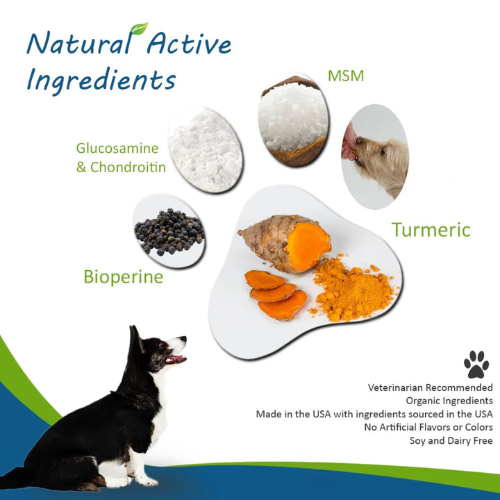 Advanced Hip and Joint Chews for Dogs with organic Turmeric & Bioperine®