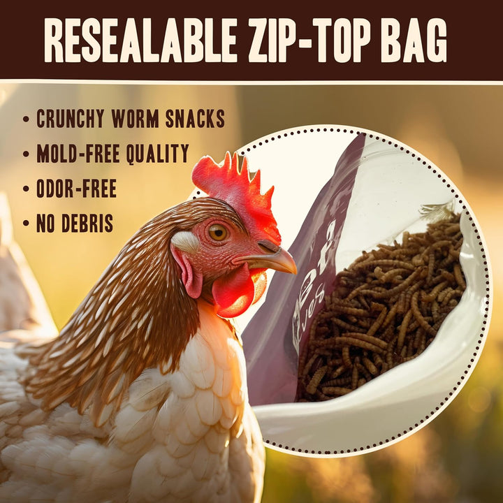 Premium Dried Mealworms - Non-GMO Treats, 5 Lb