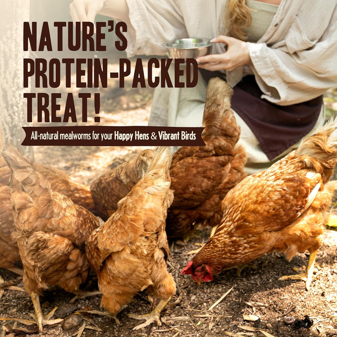 Premium Dried Mealworms - Non-GMO Treats, 5 Lb