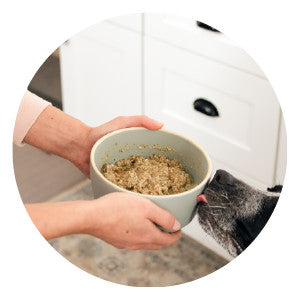 The Honest Kitchen Limited Ingredient Grain-Free Turkey Recipe Dehydrated Dog Food - 10LB
