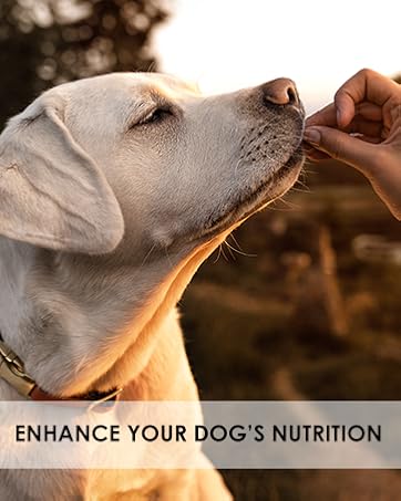 Dog being fed by a hand with text 'Enhance Your Dog's Nutrition' on a blurred natural background