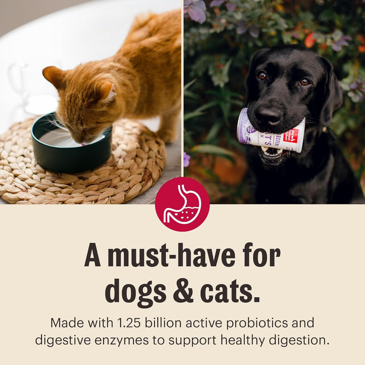 Two images of a cat and a dog with text about a product for pets. The Honest Kitchen Instant Goat's Milk with Probiotics