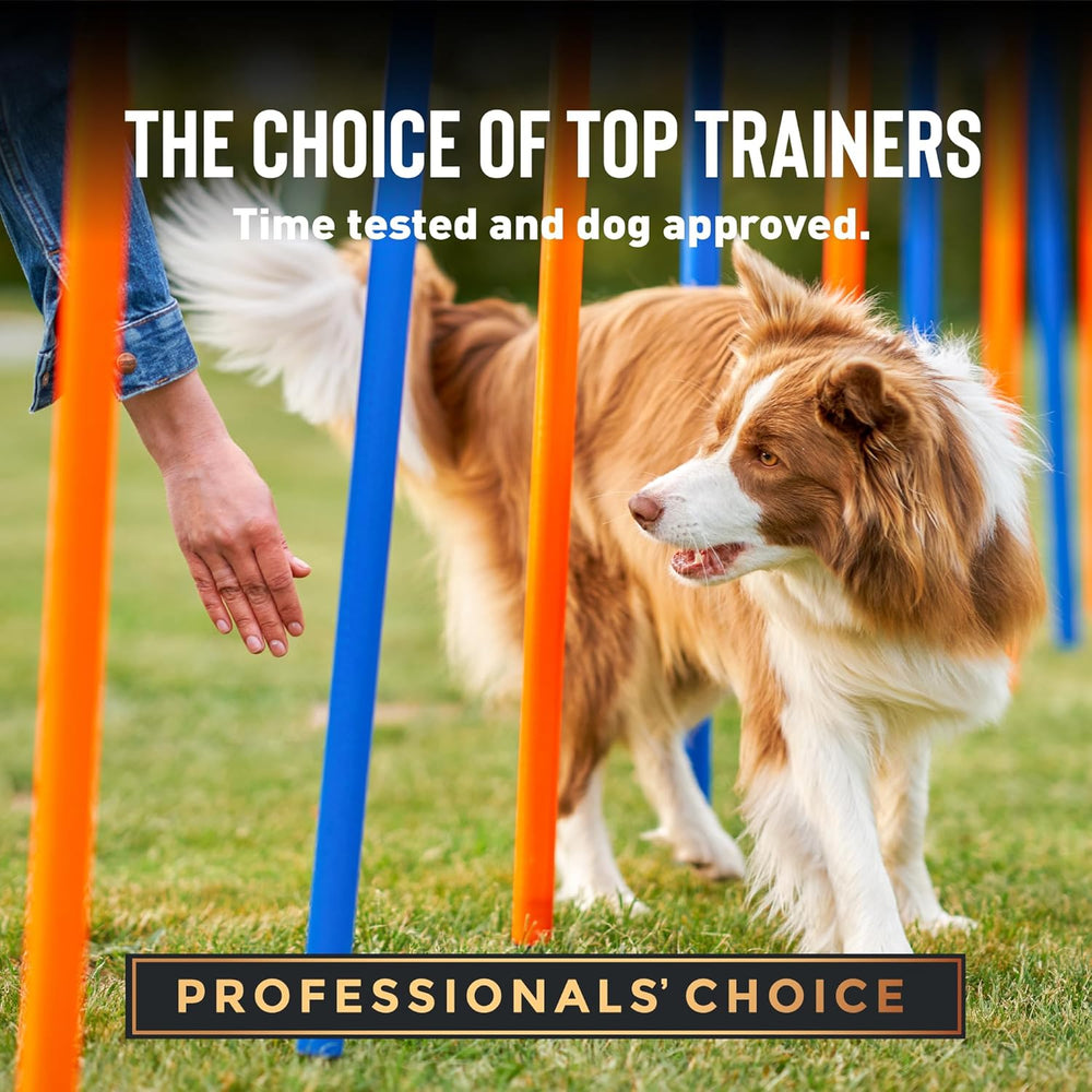 Dog running through an obstacle course with text about top trainers and approval.