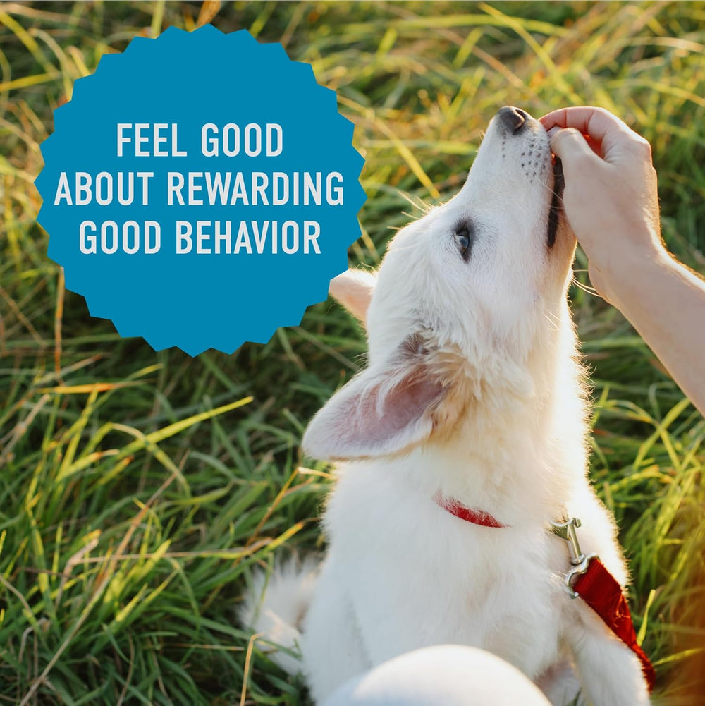 White dog being petted by a person with text 'Feel good about rewarding good behavior' on a blue background.