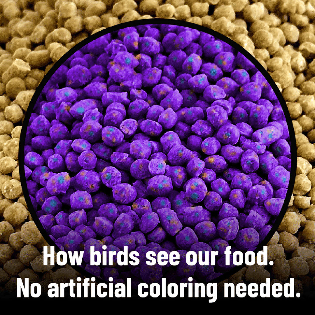 Harrison's High Potency Fine Bird Food 5LB