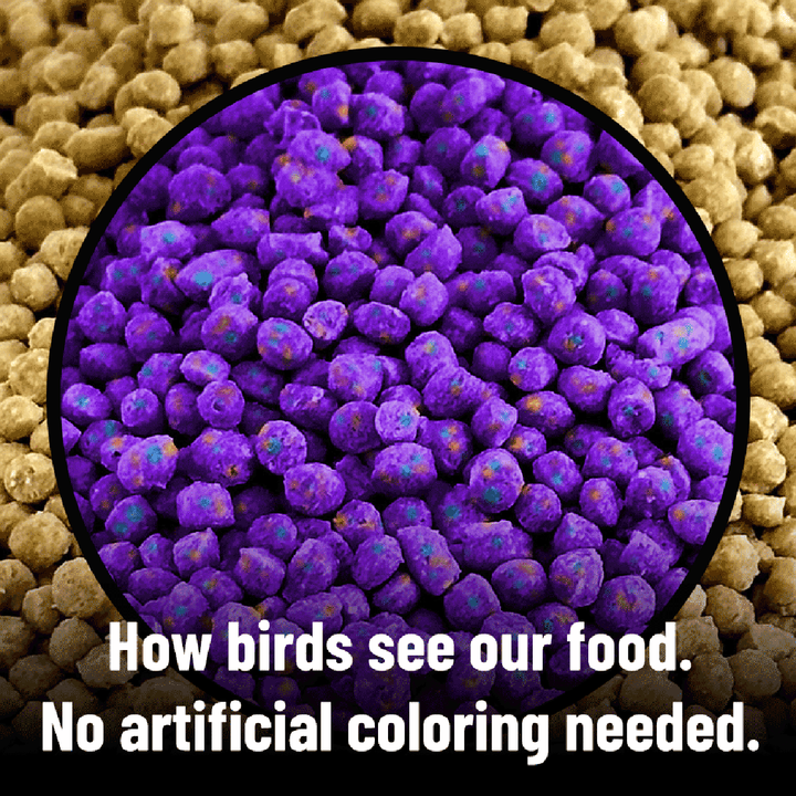 Harrison's High Potency Fine Bird Food 5LB