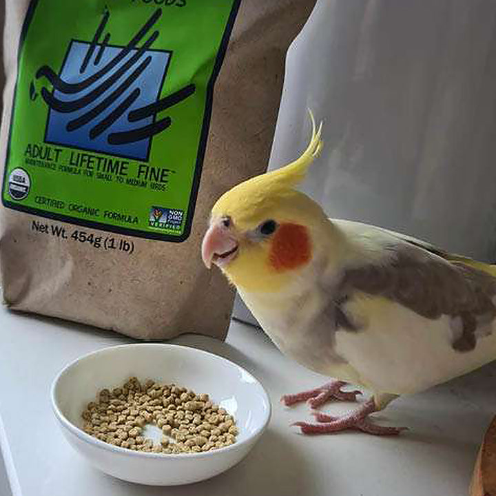 Harrison's Adult Lifetime Fine Bird Food 1 LB