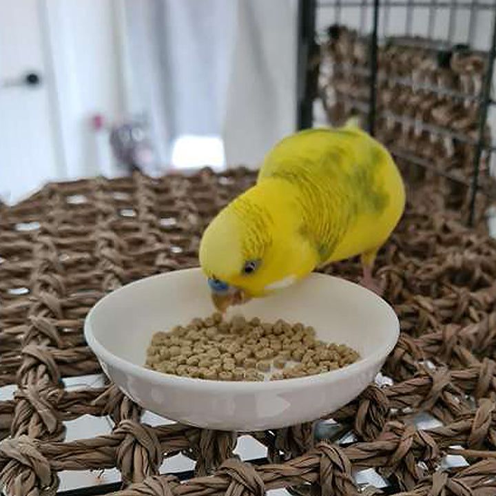 Harrison's High Potency Fine Bird Food 5LB