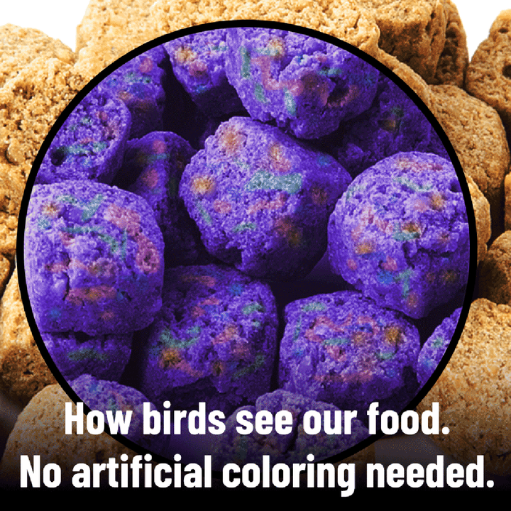 Harrison's High Potency Coarse Bird Food 5 LB