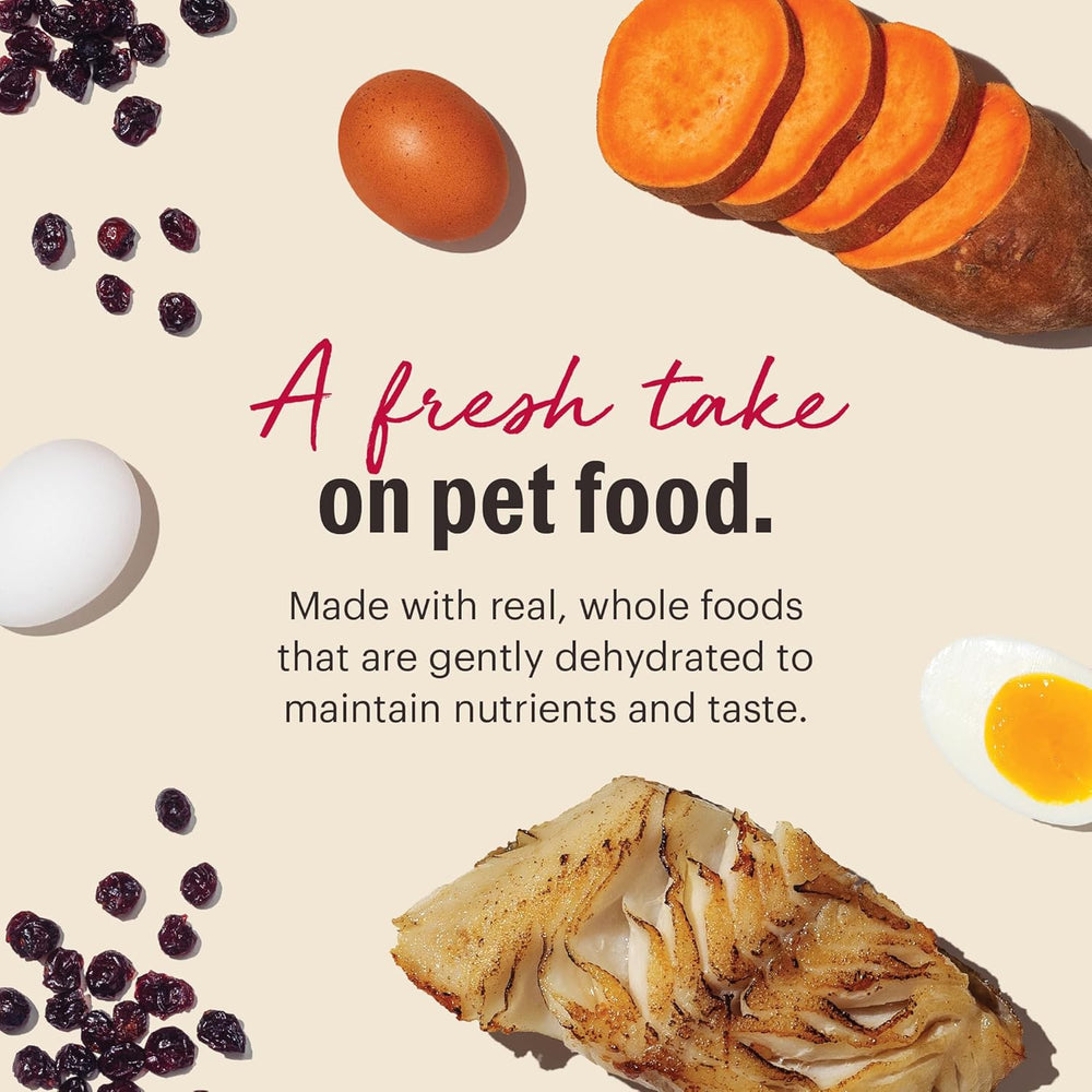 pet food with fresh ingredients like sweet potatoes, eggs, and fish on a beige background. Grain-Free Fish Recipe Dehydrated Dog Food