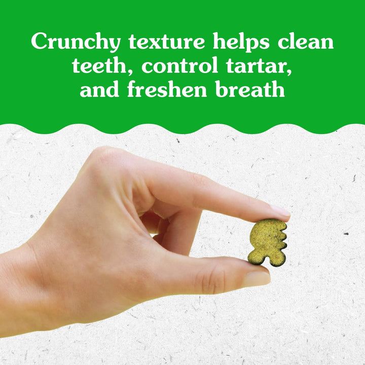 Hand holding a green pet treat with text about its benefits on a white and green background. Greenies Feline Adult Dental Cat Treats Variety Pack 