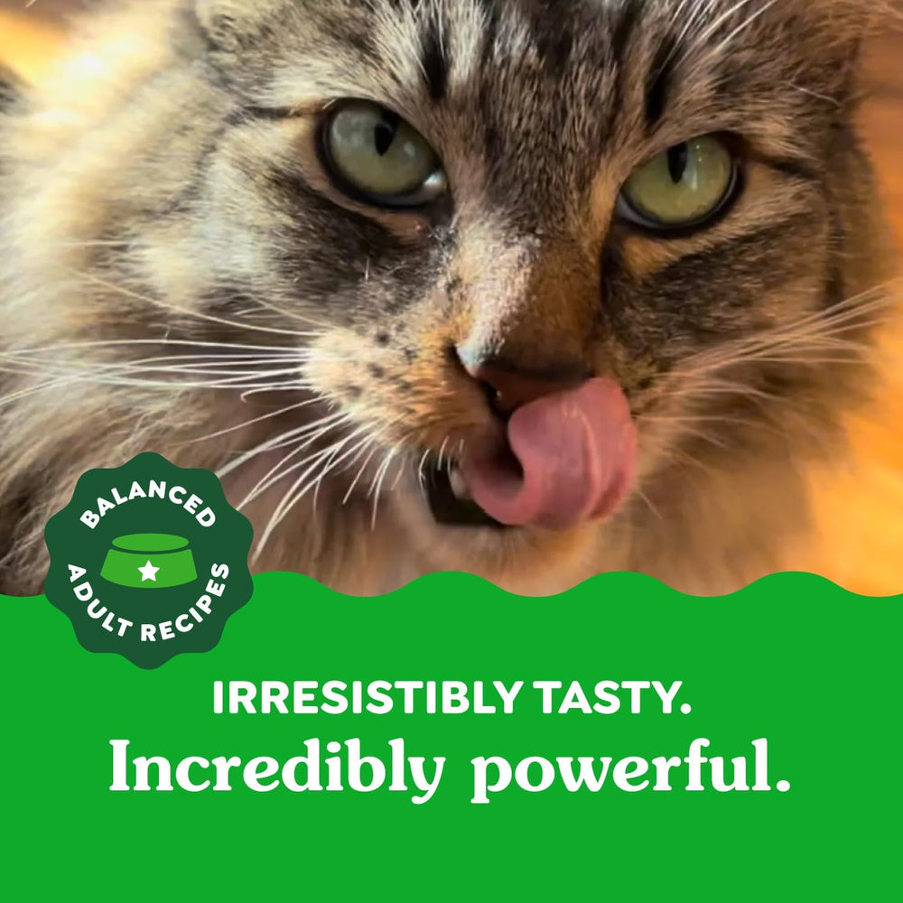 Cat licking its lips with a green label and text about balanced adult recipes.