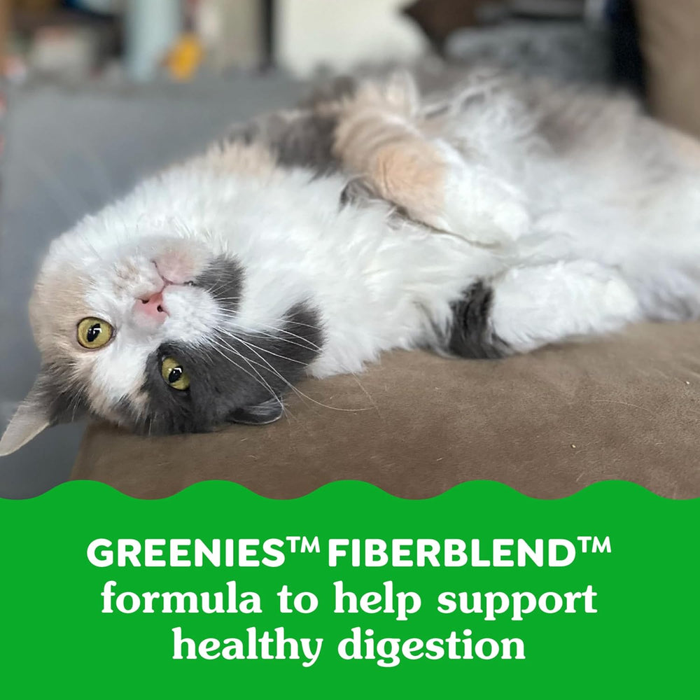 Cat lying on a cushion with Greenies Fiberblend text overlay. Greenies Feline Smartbites Healthy Indoor Cat Treats, Tuna Flavor