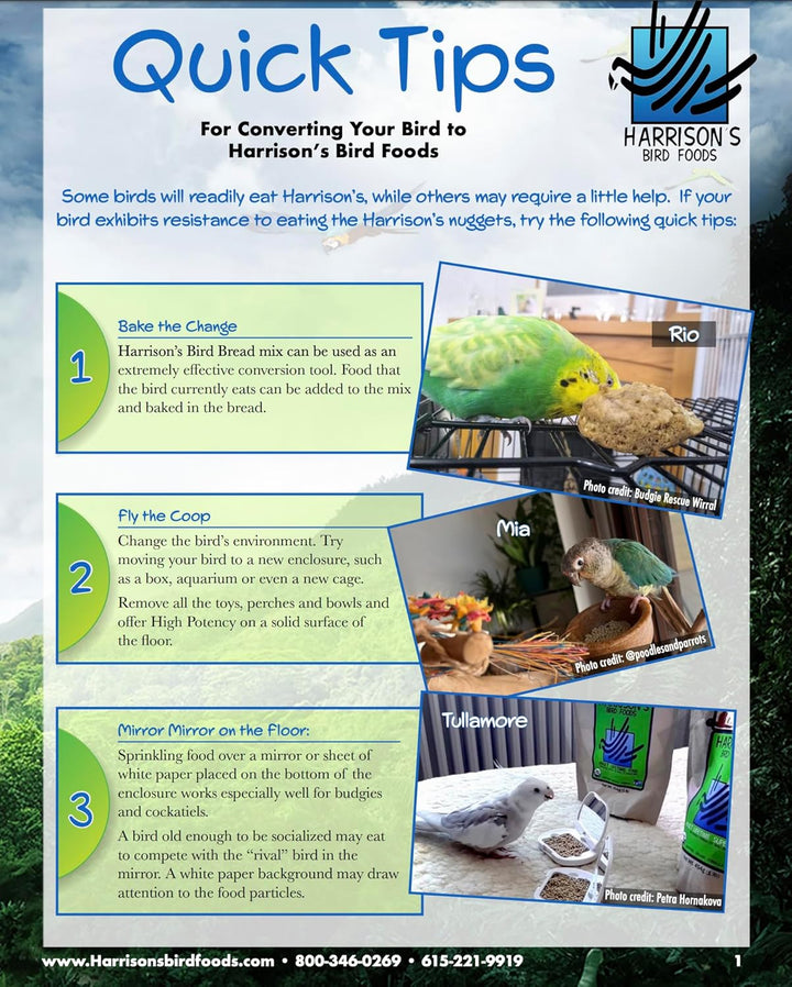 Harrison's Bird Foods quick tips flyer with images and text on converting birds to their products.