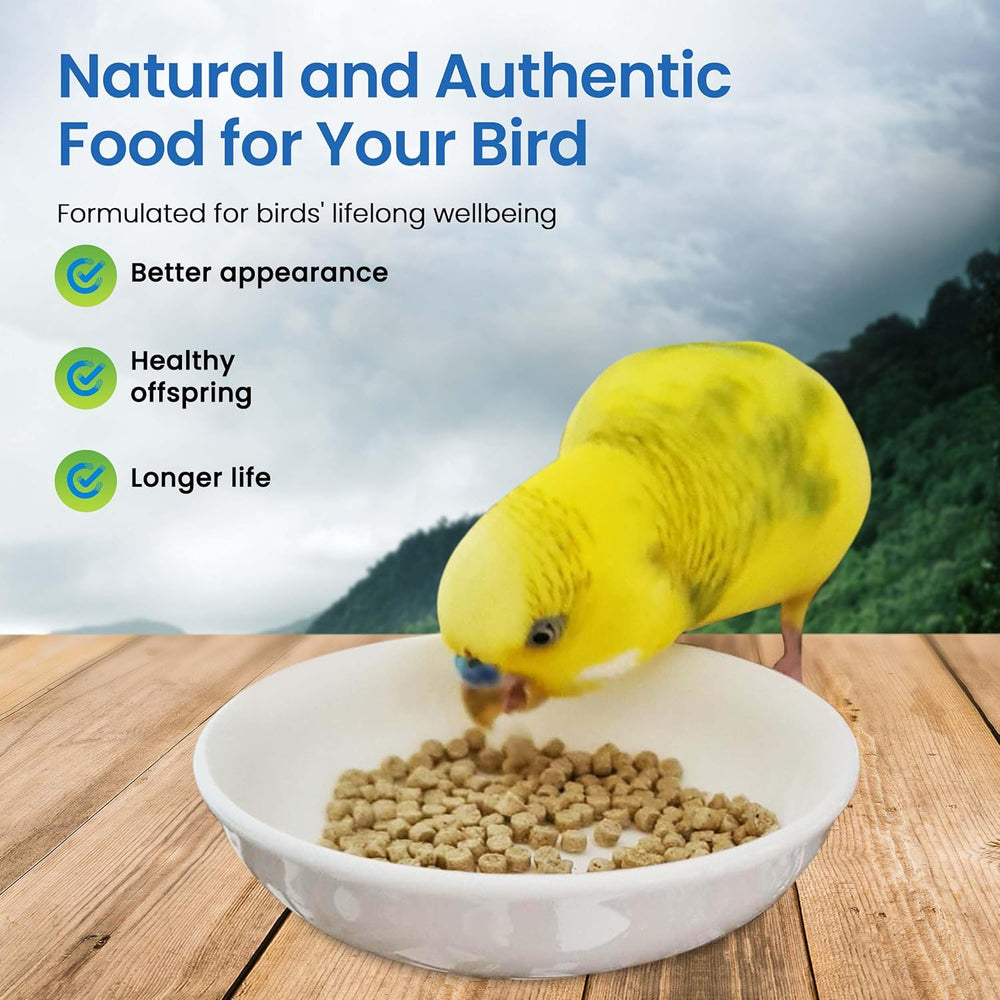 Yellow parrot eating from a bowl of bird food with a scenic background. Harrison's Adult Lifetime SuperFine 1 LB