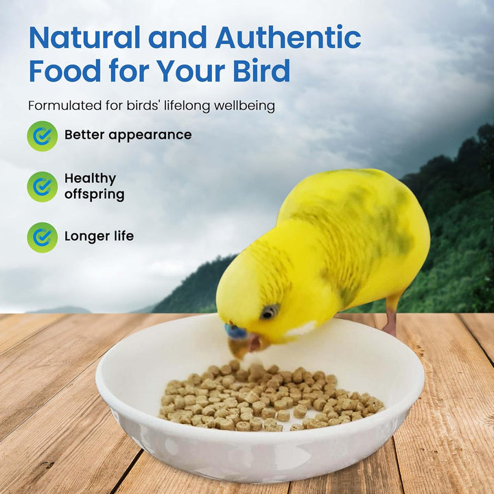 Yellow parrot eating from a bowl of bird food with a scenic background. Harrison's Adult Lifetime SuperFine 1 LB