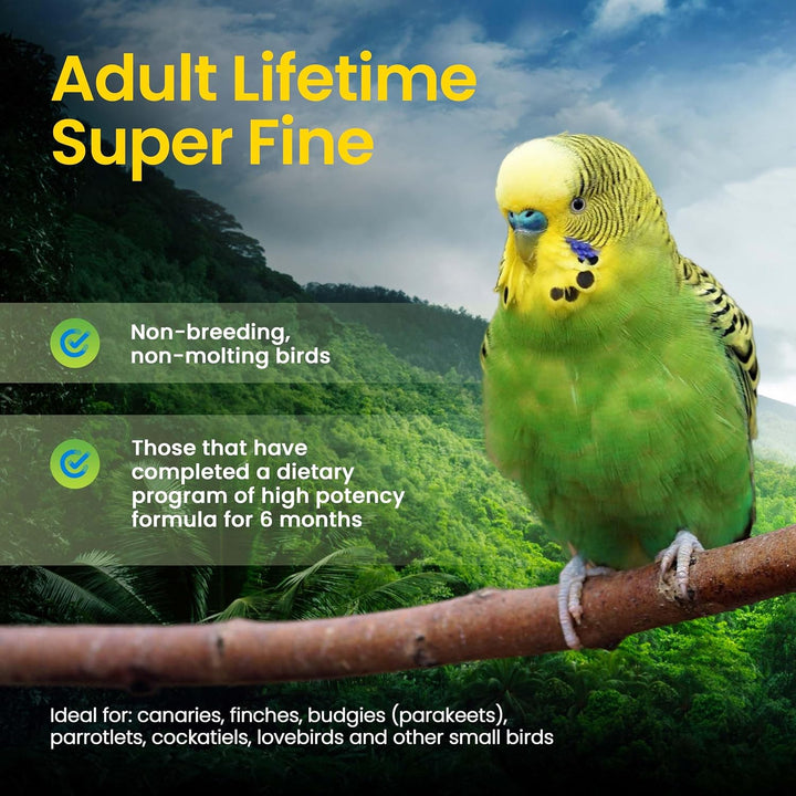 Green parakeet on a branch with text about 'Adult Lifetime Super Fine' bird formula. Harrison's Adult Lifetime SuperFine 1 LB