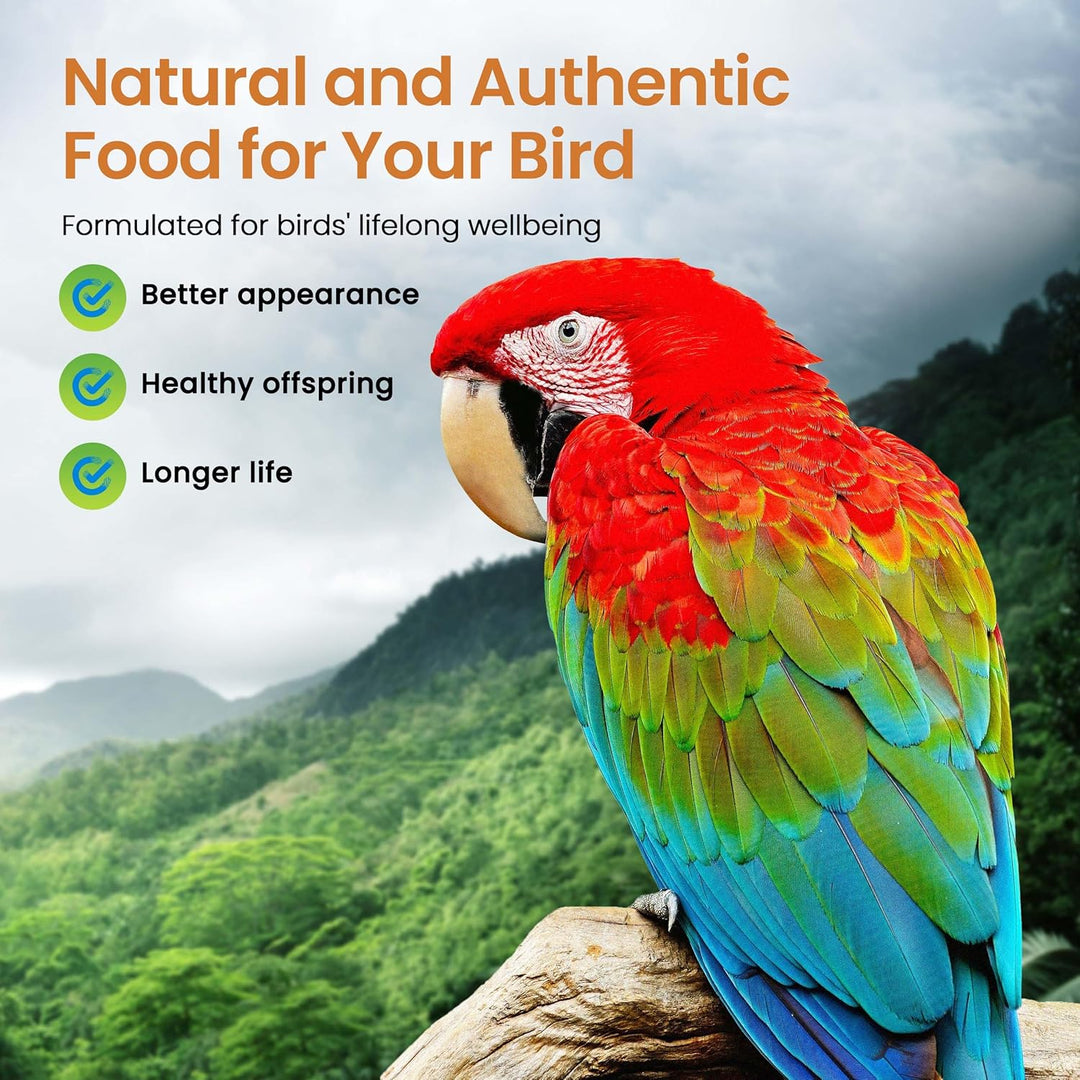 Colorful parrot on a branch with text about natural and authentic bird food. Harrison's High Potency Coarse Bird Food 5 LB