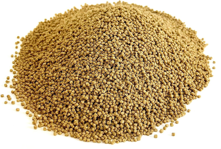 Pile of light brown seeds on a white background. Harrison's High Potency SuperFine Bird Food 1 LB