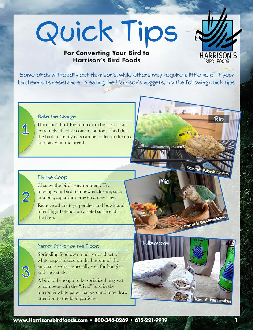 Harrison's Bird Foods quick tips flyer with images and text on converting birds to their products. Harrison's High Potency SuperFine Bird Food 1 LB
