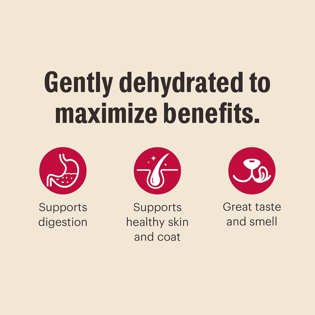 Text and icons on a beige background about gentle dehydration for health benefits. The Honest Kitchen Dehydrated Limited Ingredient Dog Food Fish