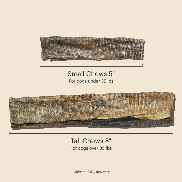 Two different sizes of dog chew treats with measurements and weight guidelines on a beige background. The Honest Kitchen Human Grade Ocean Chews Crispy Cod Fish Skins, 5.5 Ounces- 3 PACK