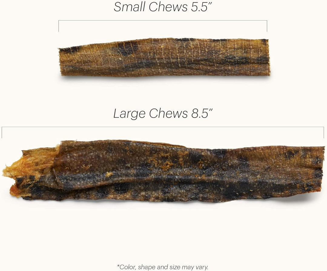 Two dog chew treats, one labeled 'Small Chews 5.5”' and the other 'Large Chews 8.5”', on a white background. The Honest Kitchen Ocean Chews Hearty Wolffish Skins Beams