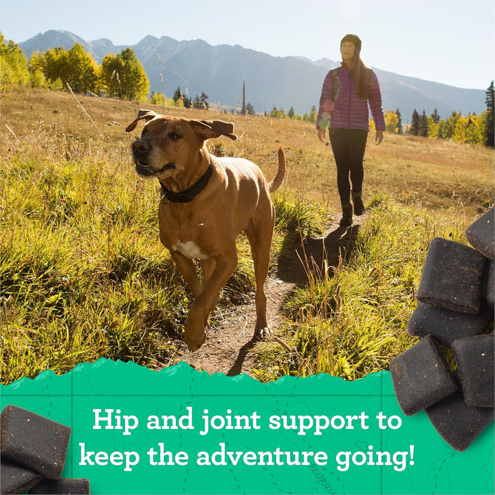 Dog walking on a trail with a person in the background, promoting hip and joint support for outdoor activities. Zuke's Hip Action Hip & Joint Support 