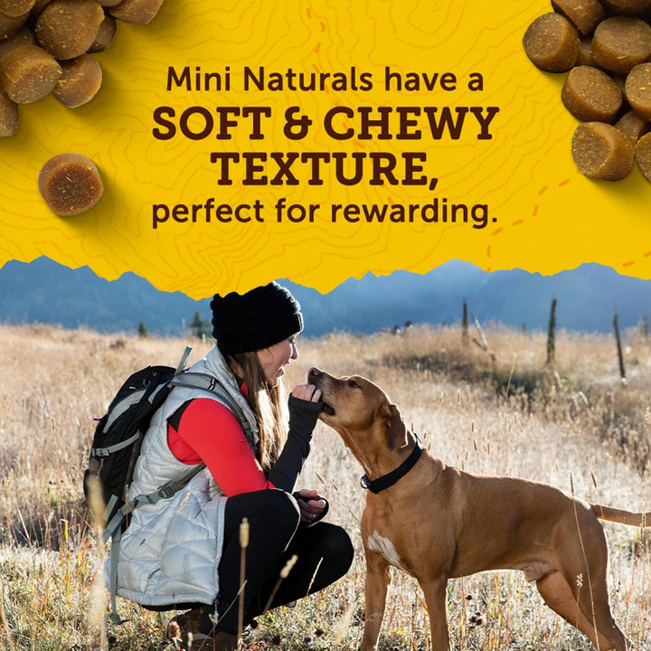 Woman with a dog in a field, with text about Mini Naturals dog treats. Zuke’s Mini Naturals Dog Training Treats for Dogs