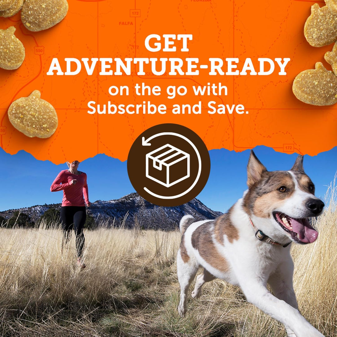 Dog with treats and text about subscribing and saving for adventure-ready products. Zuke's Mini Naturals Dog Treats Duck Recipe 