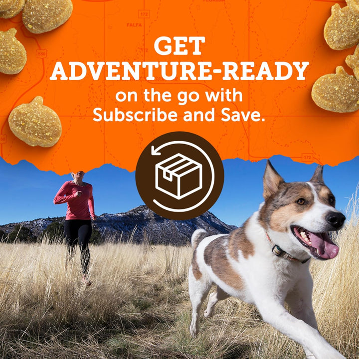 Dog with treats and text about subscribing and saving for adventure-ready products. Zuke's Mini Naturals Dog Treats Duck Recipe 