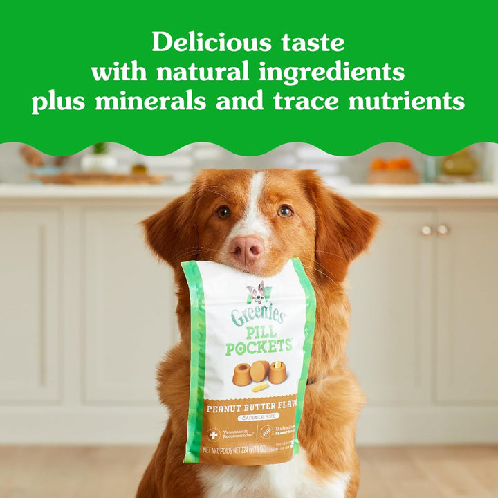 Dog holding a Greenies Pillocks treat package with text about natural ingredients and minerals.