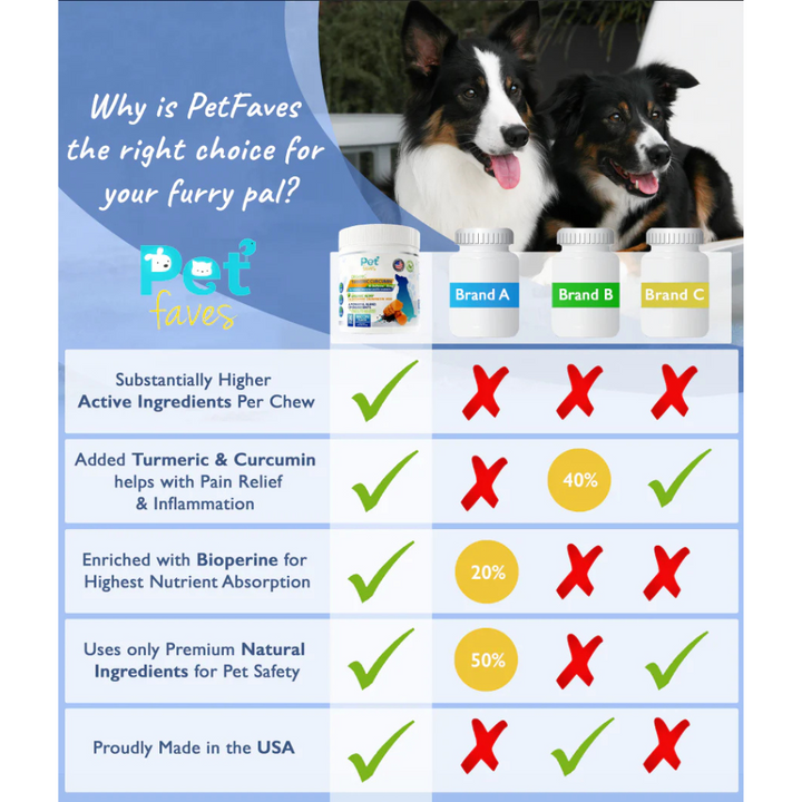 Comparison chart of PetFaves with other brands for pet health products, featuring two dogs.