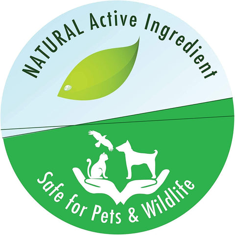(2 Pack) API Pond-Zyme Sludge Destroyer Pond Cleaner 16oz with 10ct Pet Wipes