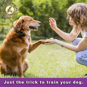 (3 Pack) Cloud Star Tricky Trainers Chewy Dog Treats Whole Grain Soft for Adult & Puppy - Liver 14oz Each with 10ct Pet Wipes