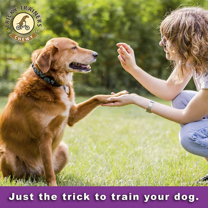 Cloud Star Tricky Trainers Soft & Chewy Training Treats for Dog, Liver 14 oz (3 Pack)